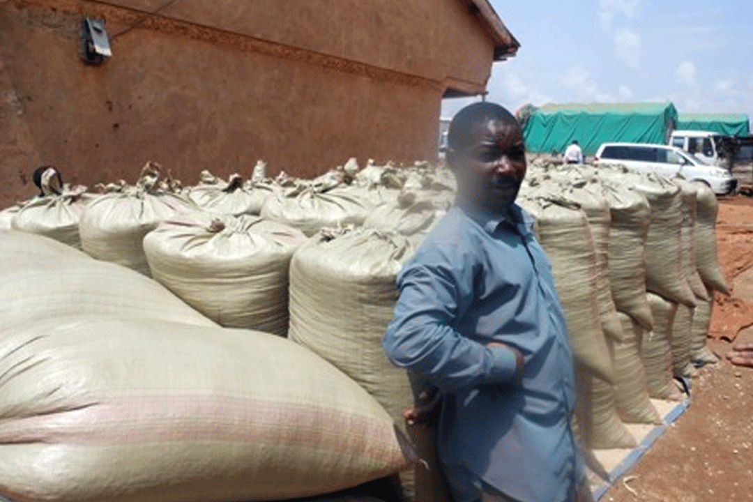 No business. A trader standing next to bag of maize at Busia produce market