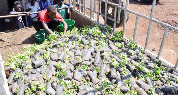 Farmer cooperatives want stake in Operation Wealth Creation