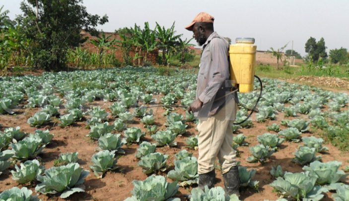 Farmers’ Cooperative members get Commercial farming and Food Security skills