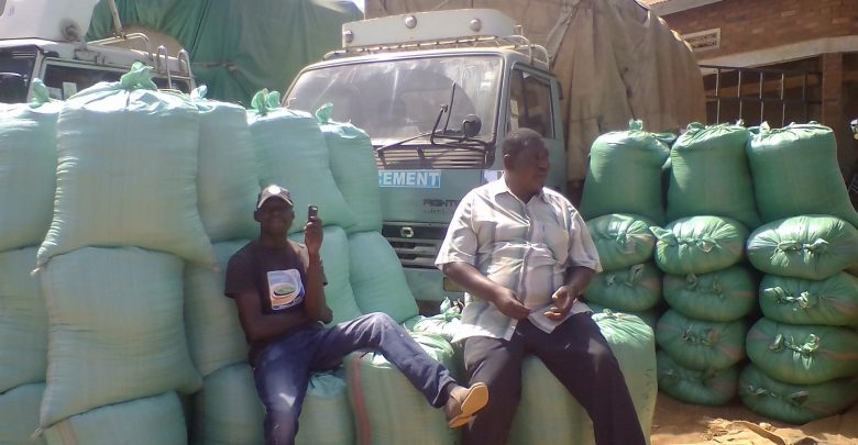 Maize scarcity leaves traders in Busia unemployed