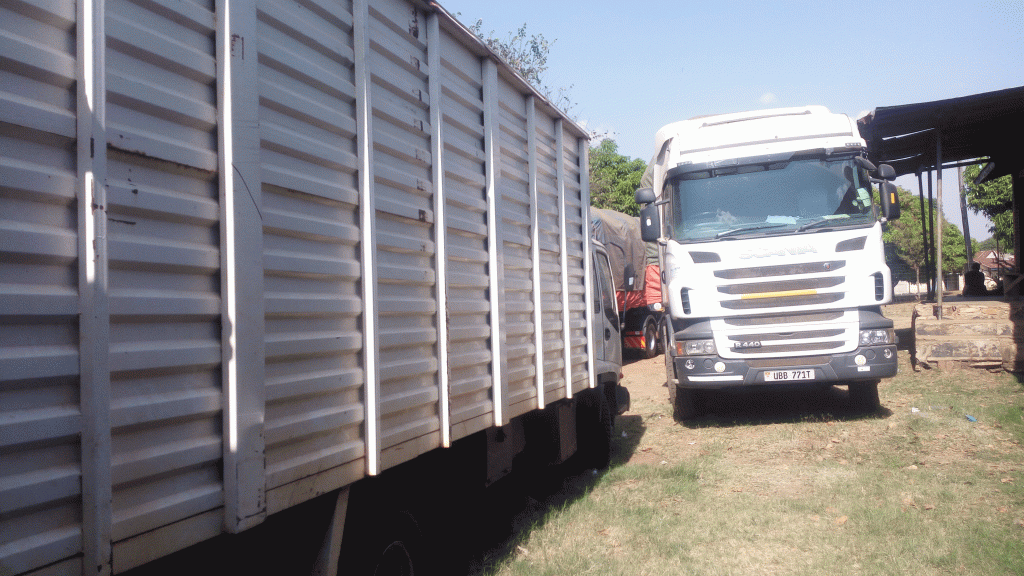 Trucks loading leafy tobacco to Kenya photos/Patrick Jaramogi