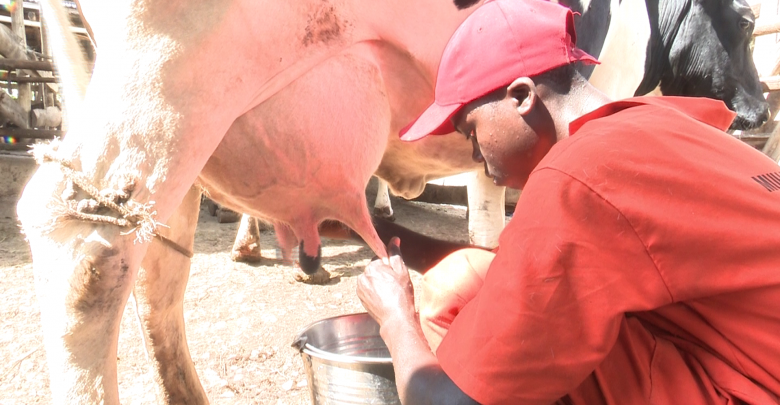 Dairy farmers urged to join cooperatives