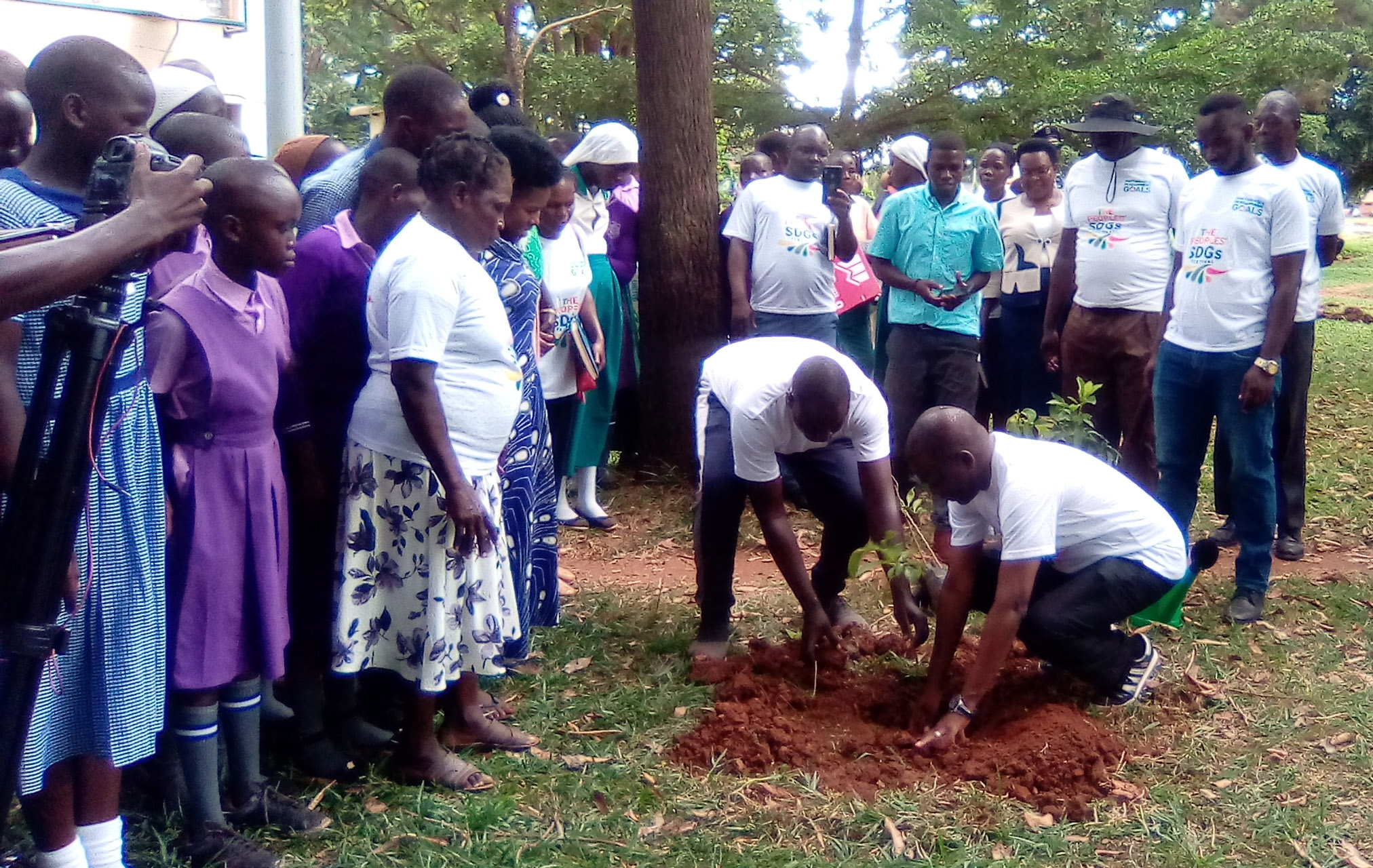 Lira City Receives 100 Tree Seedlings For Planting The Cooperator News 